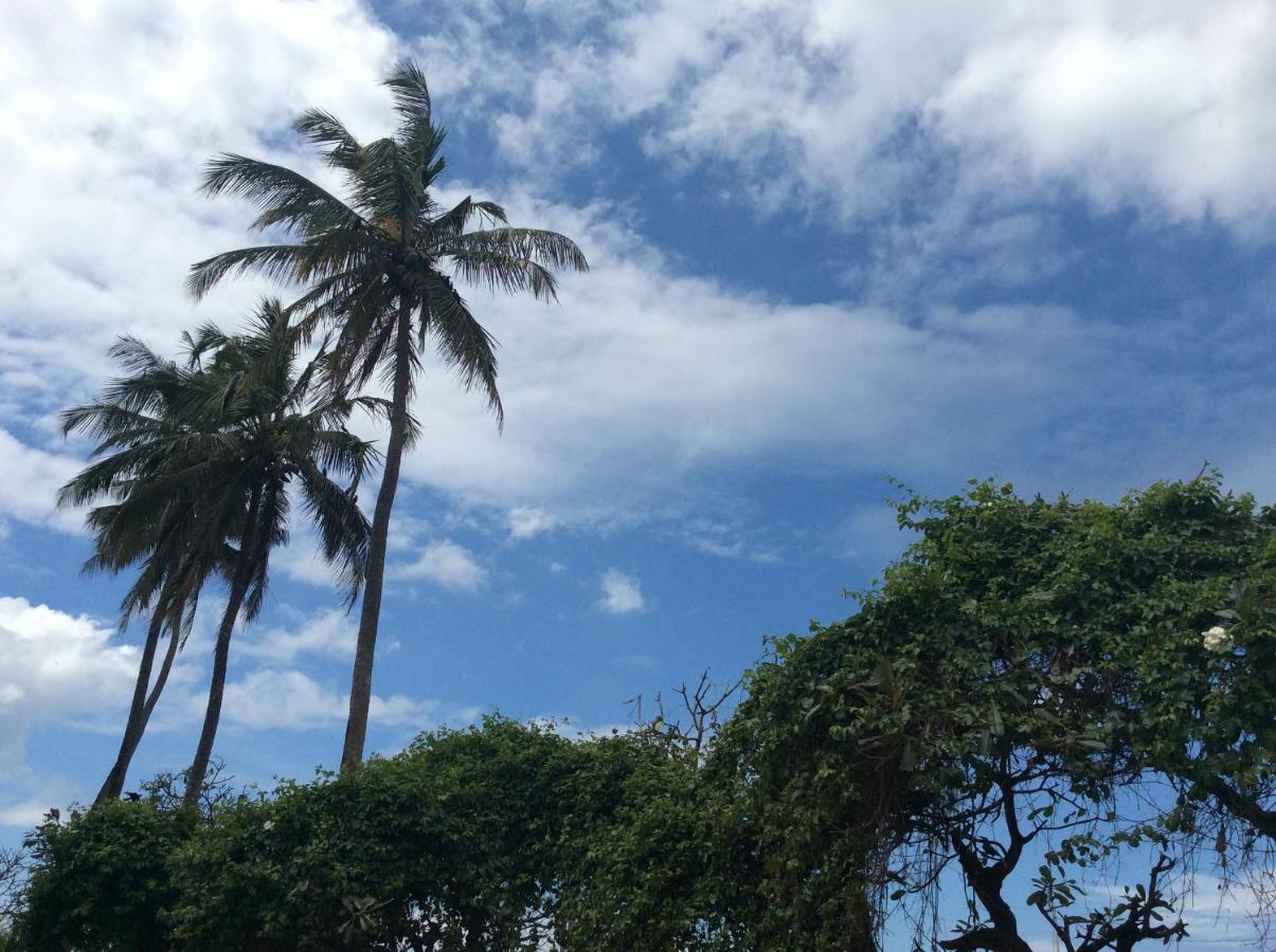 New Rest House Sea View Hotel Negombo Buitenkant foto